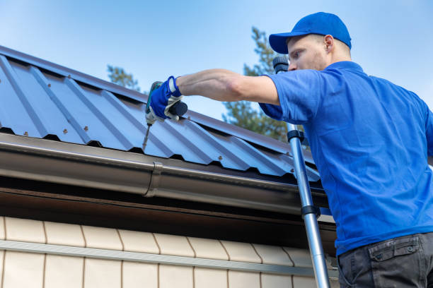 Best Roof Maintenance and Cleaning  in Sebring, FL