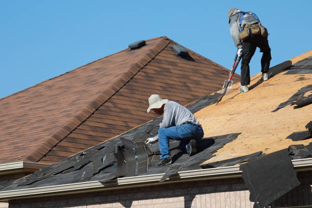 Best Green or Eco-Friendly Roofing Solutions  in Sebring, FL