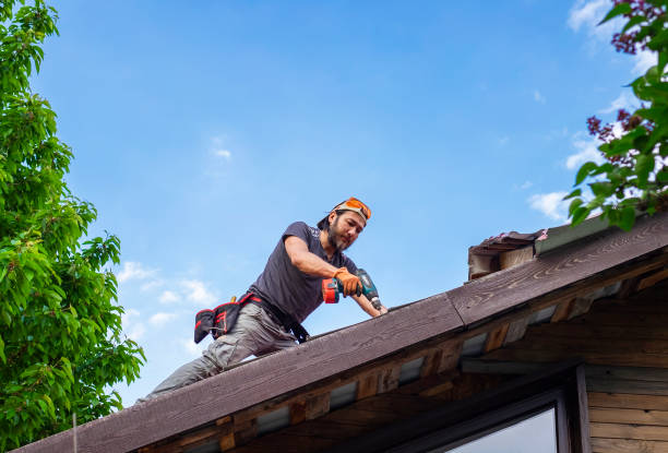 Best Solar Panel Roofing Installation  in Sebring, FL