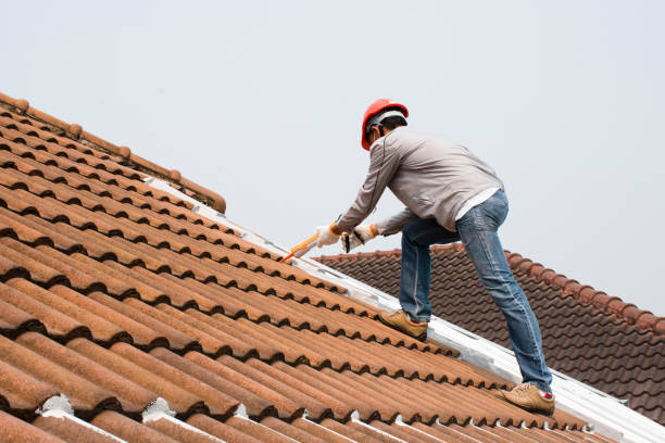 Best Metal Roofing Installation  in Sebring, FL